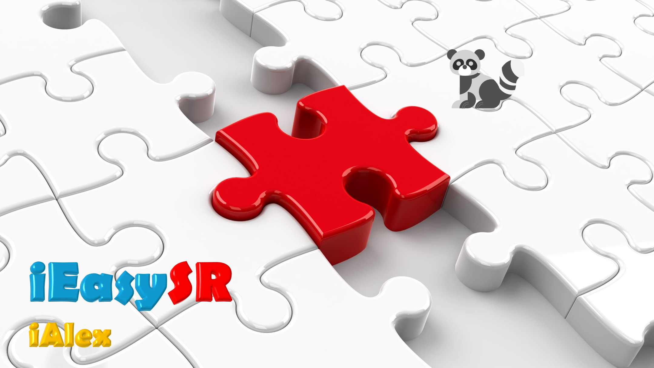 A Collaborative Partnership: iEasySR for NGOs and Foundations Supporting Schools